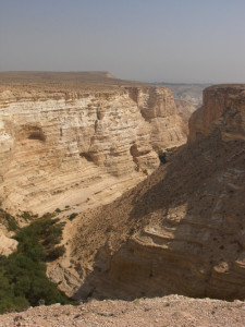 Ein Avdat, Israel. Photo: Roger Braunstein via Flickr.