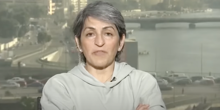Susan Abdulhawa, a Palestinian writer and pundit Source: Democracy Now!